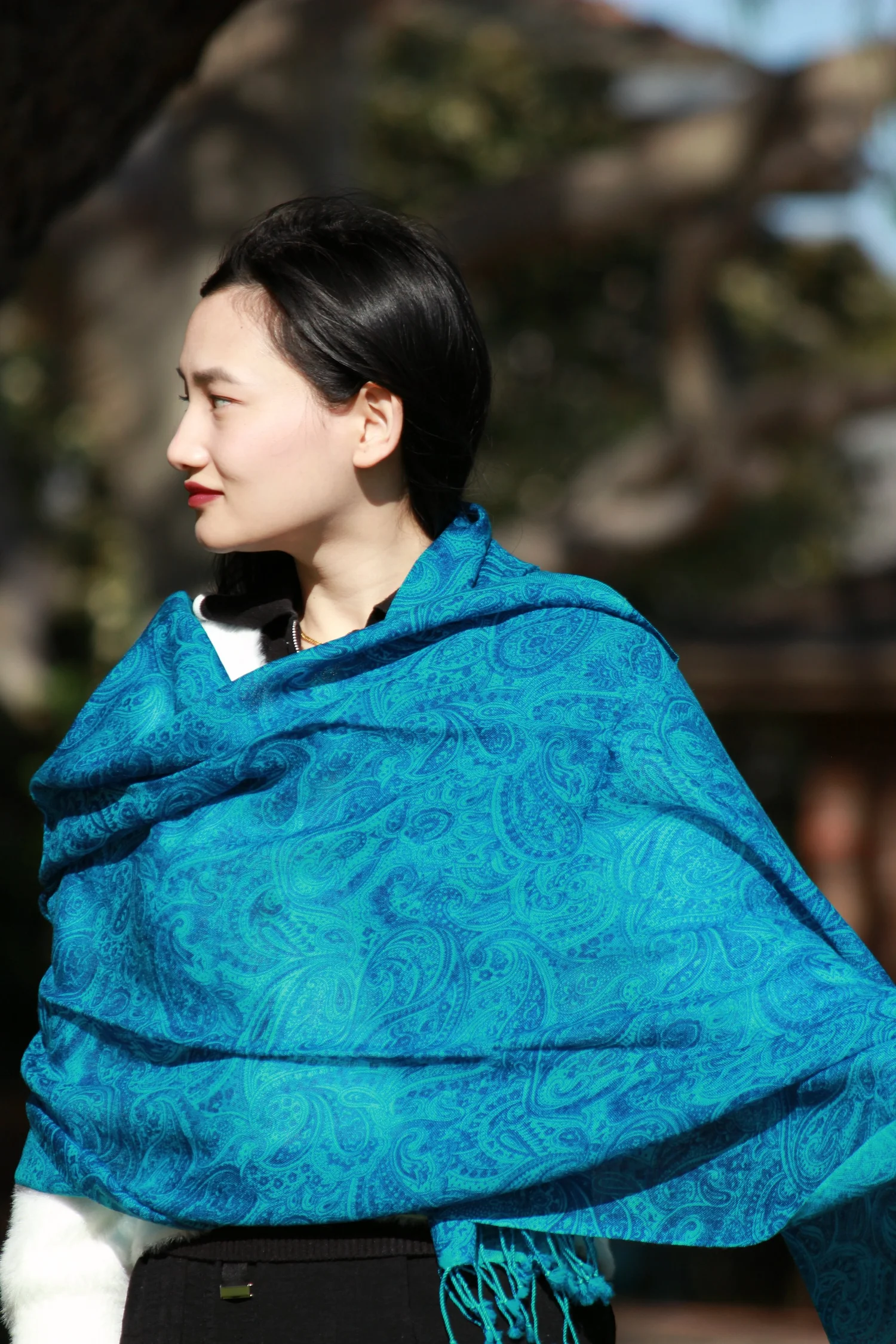 100% Pashmina (Flower Pattern) (Shawl) view 4