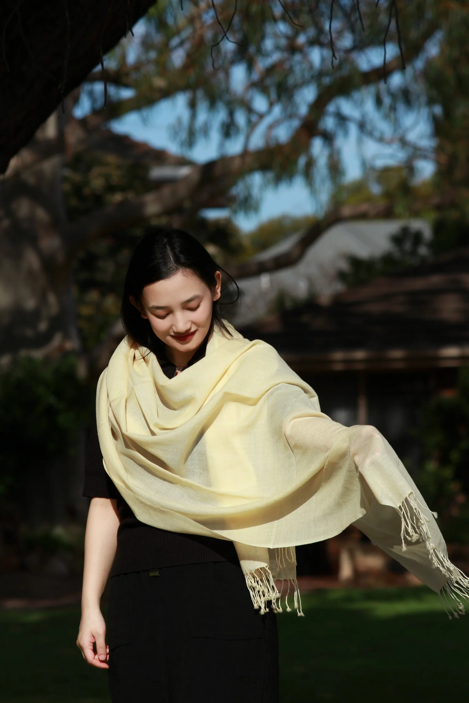 100% Pashmina (Shawl) view 5