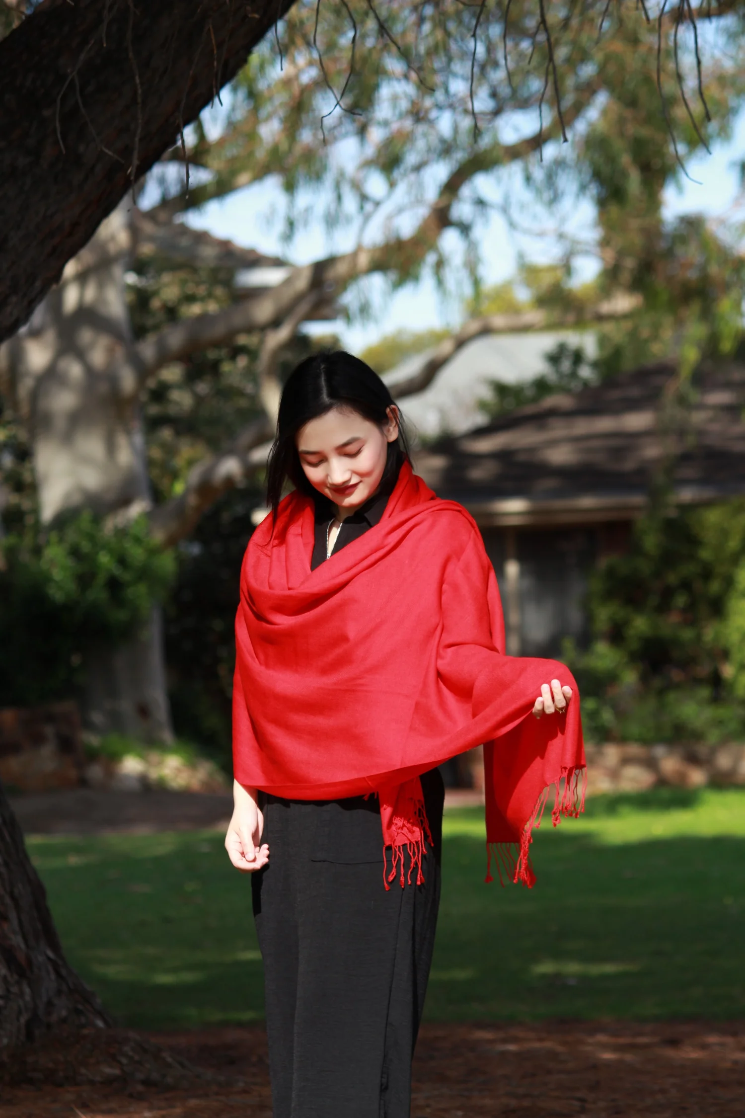 70% Pashmina 30% Silk (Shawl) view 3